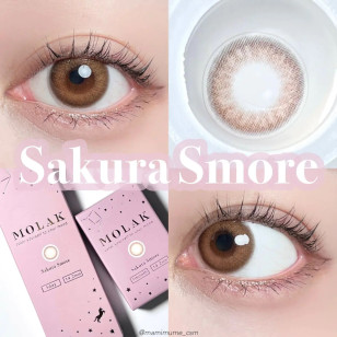 MOLAK 1day Sakura Smore モラク ワンデー サクラスモア